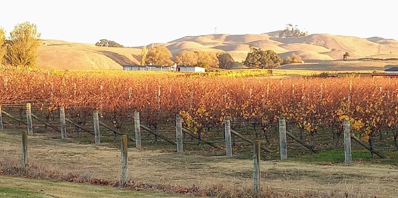 Birds Eyes Te Awanga Bed & Breakfast Bagian luar foto